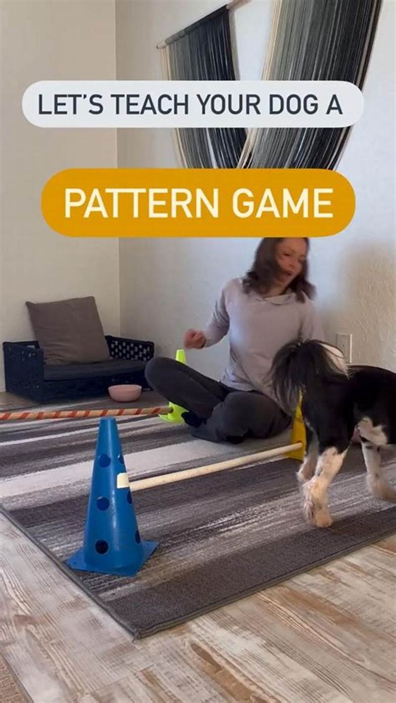 Pattern Games For Dogs