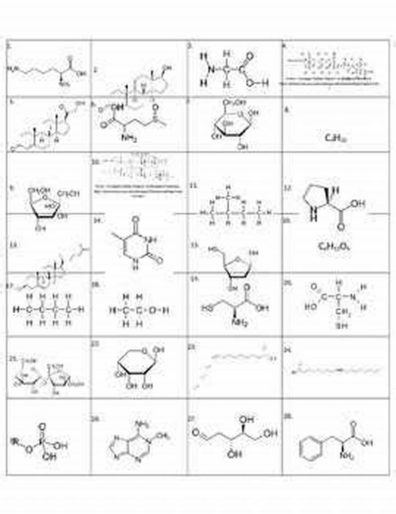 Pattern Matching Organic Molecules Answer Key