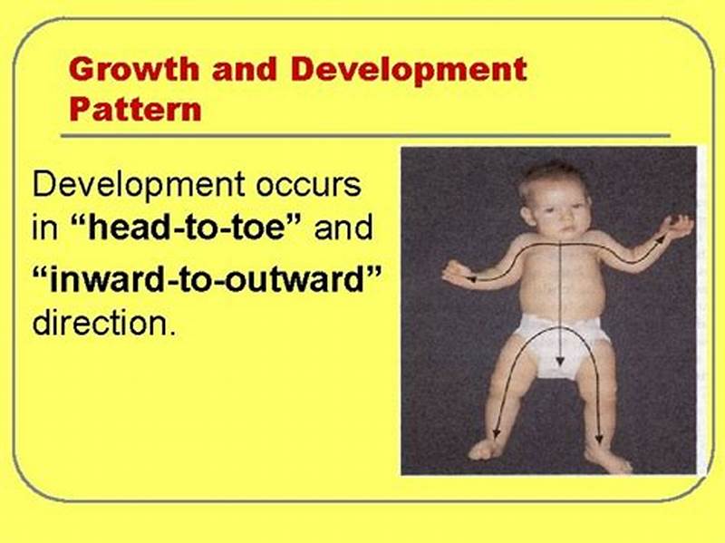 Pattern Of Development From Head To Toe