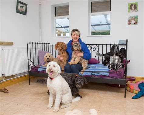 Paws For Behaviour Dog Day Care Centre
