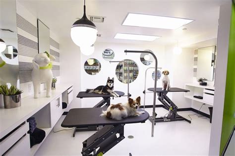 Paws Pet Spa and Grooming Salon