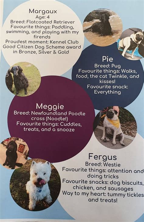 Paws for Thought Pet Services
