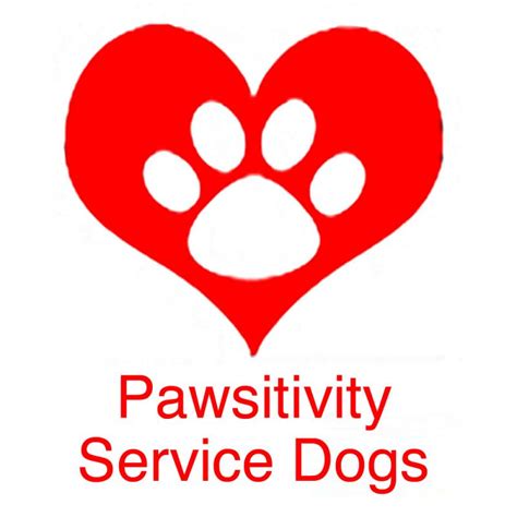 Pawsitivity Dog Services