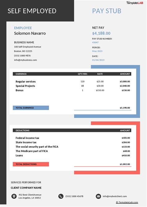 Pay Stub Template For Self Employed