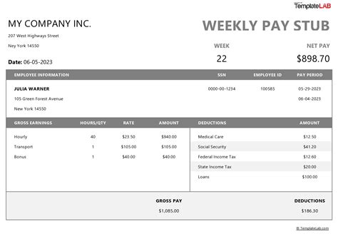 Pay Stub Template Free Download