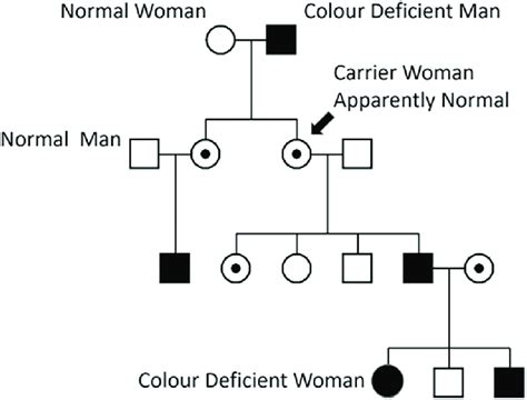 Pedigree Chart Of Color Blindness