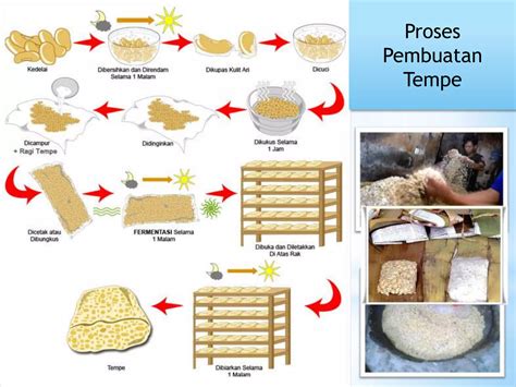 Pembuatan Tempe