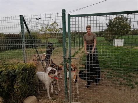 Pension Canine La Retourne à Neuflize