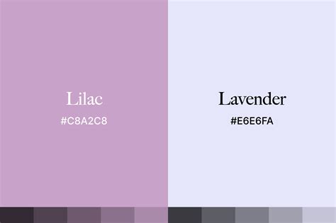 Perbedaan Nuansa Lilac dan Lavender