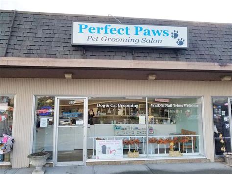 Perfect Paws Pet Services Ltd