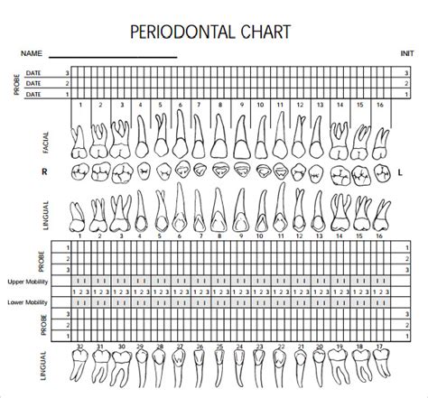 Perio Chart Printable