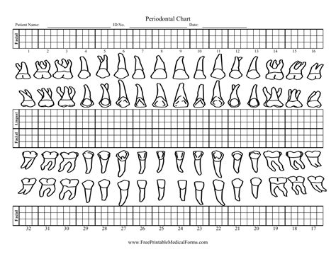 Periodontal Probing Chart Template