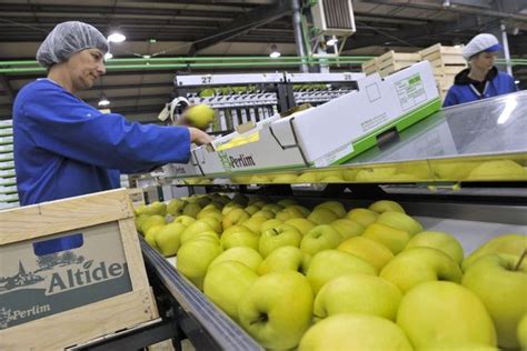 Perlim Pommes à Saint-Aulaire