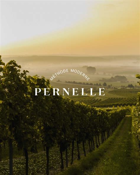 Pernelle Philippe à Saint-Contest