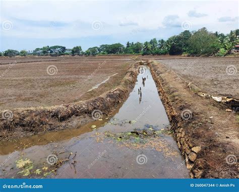 Peruvelilchal Watershed Irrigation Sluice