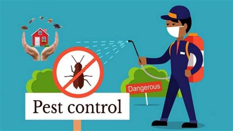 Pestfree Pest Control