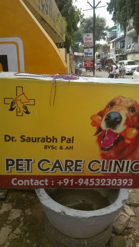 Pet care - Allahabad Vet Clinic and Surgical Center