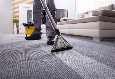 Peter Davis Discount Carpet And Upholstery Cleaning