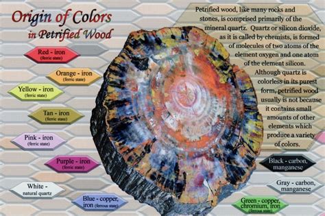 Petrified Wood Color Chart