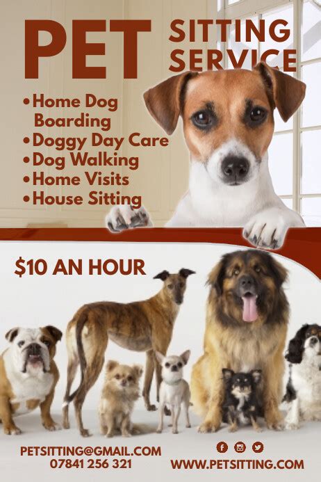 Pets and Pals, friendly family-run pet sitting and dog walking service