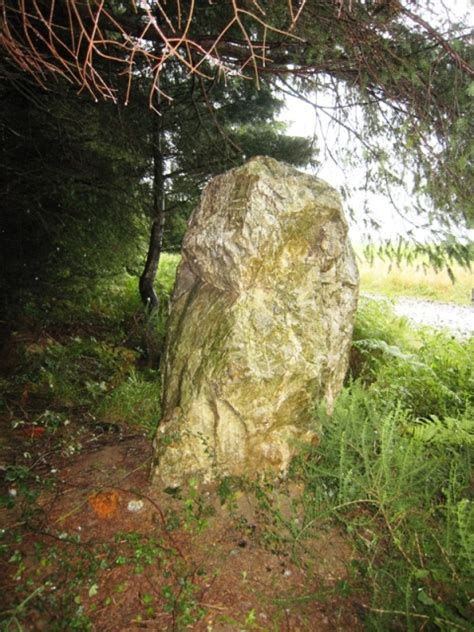 Peyre Hicade , menhir à Bartrès