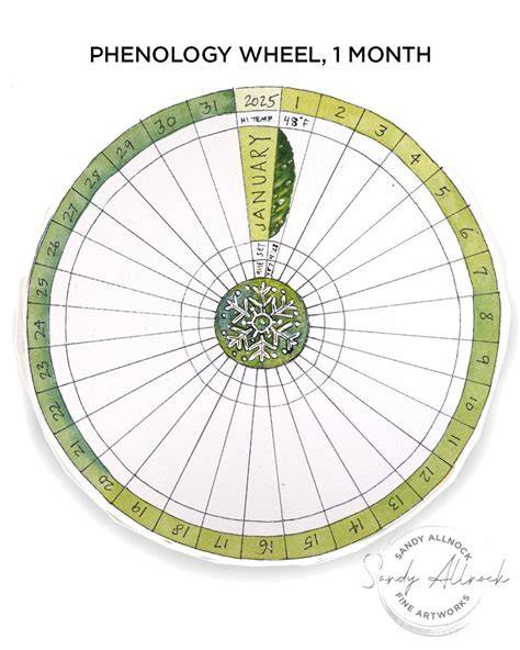Phenology Wheel Template