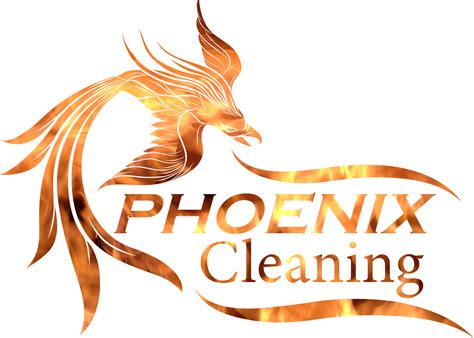 Phoenix Cleaning