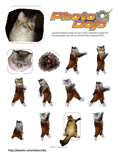 Photo Dojo Templates