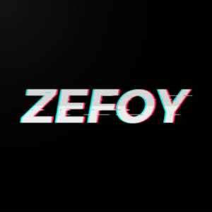 zefoy followers update