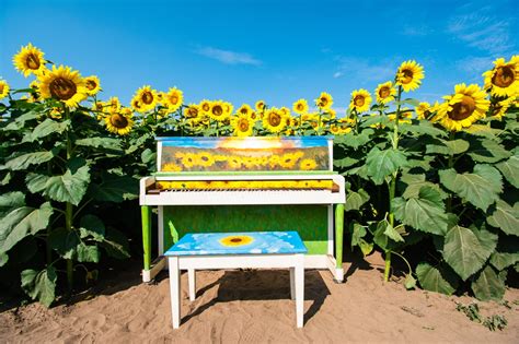 Piano Academia à Lutter