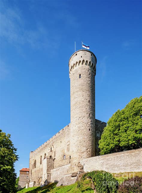 Pikk Hermann 10133 Tallinn