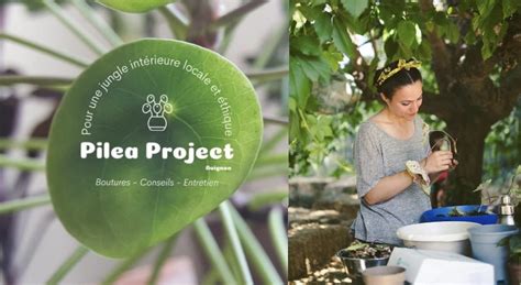 Pilea Project à Nancy