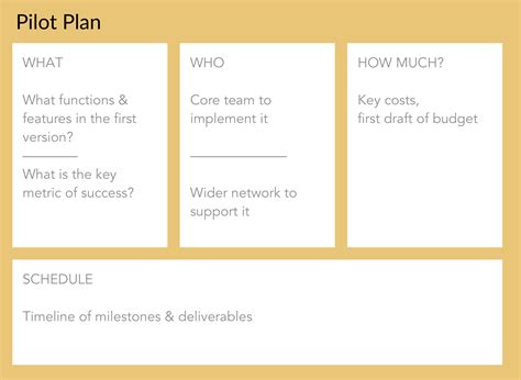 Pilot Plan Template