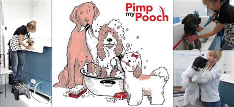 Pimp My Pooch