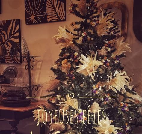 Pin d'Epice à Saint-Rémy-de-Provence