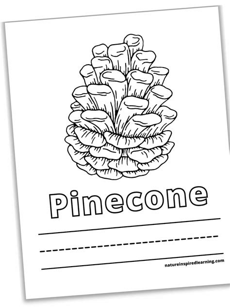 Pinecone Printable