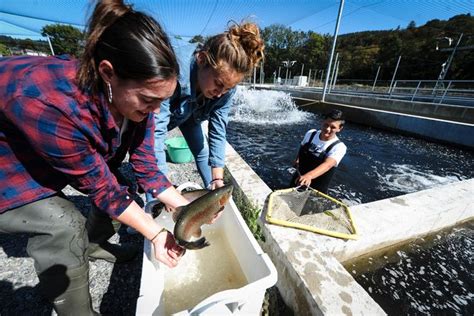 Pisciculture de Corancy à Corancy