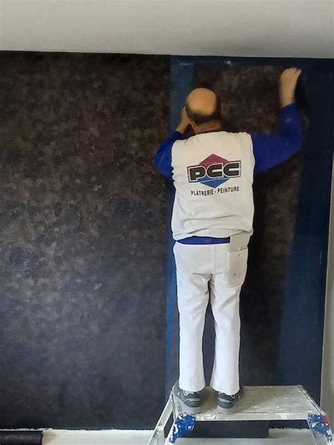 Plâtrerie Peinture Du Revermont (Dépôt) à Saint-Amour