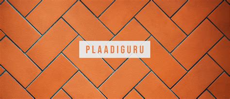 PlaadiGuru 