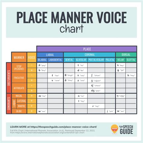 Place Manner Voice Chart