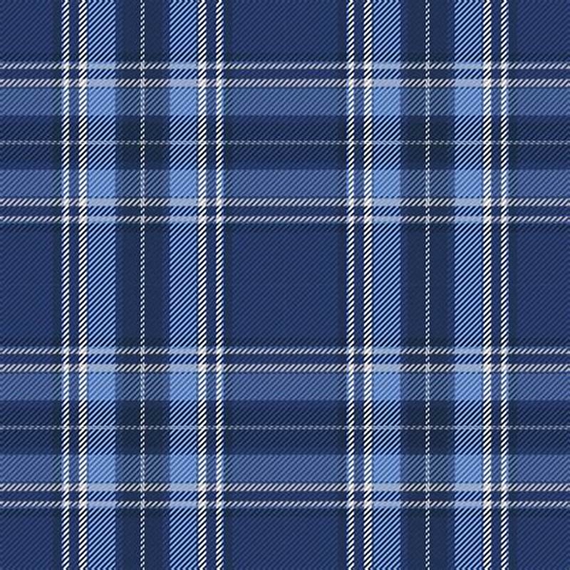 Plaid Pattern Vector