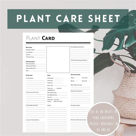 Plant Care Template