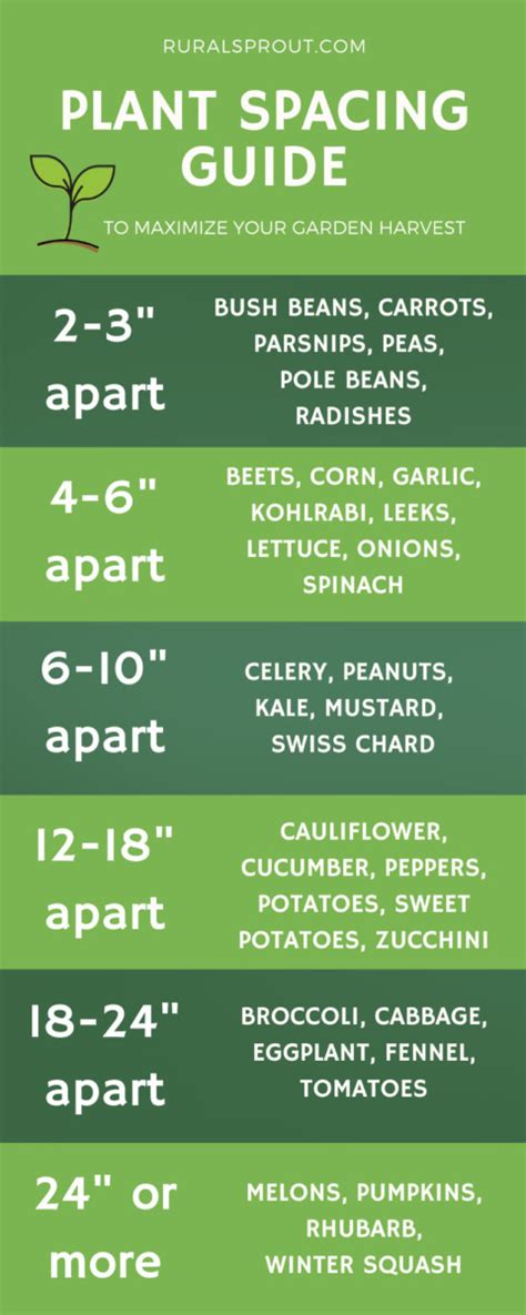 Chart for Vegetables