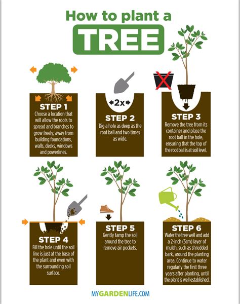 Planting Trees