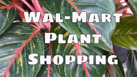 Plants MART