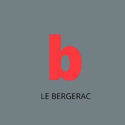 Point Nickel - LE BERGERAC à Reims