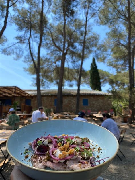 Poisson ivre à Porquerolles