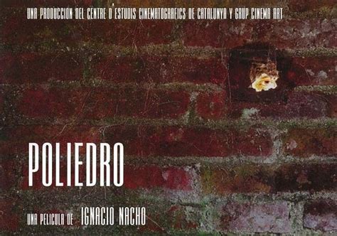 Poliedro (2005) film online,Ignacio Nacho,Aitor Allué,José Luis Bienzobas,Salvador de Haro,Oscar Guijarro