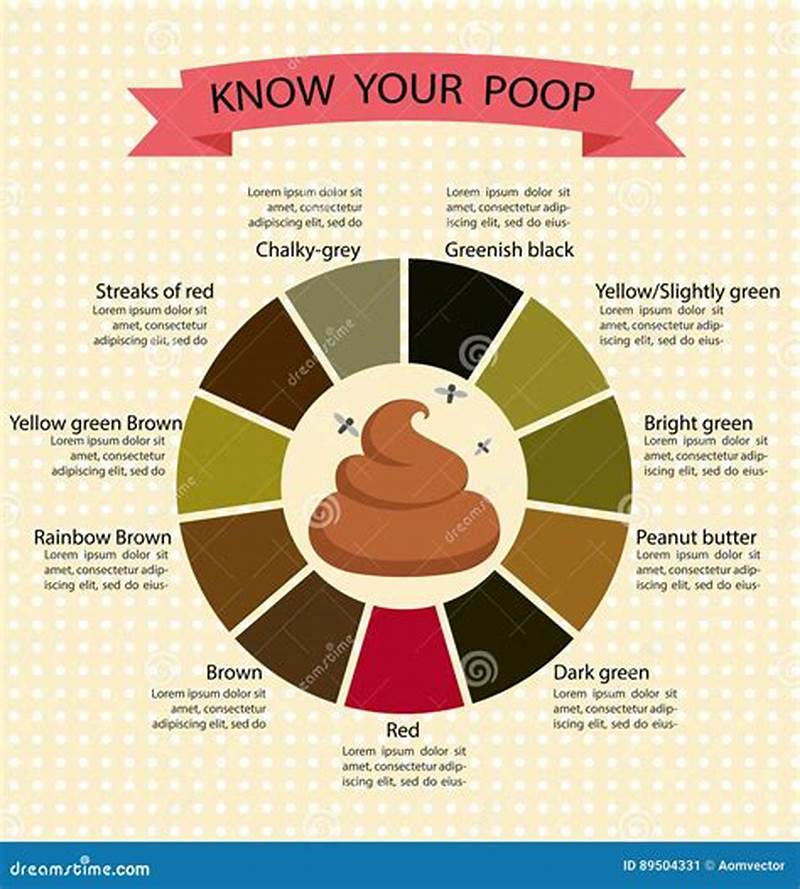 Poop Stool Color Chart