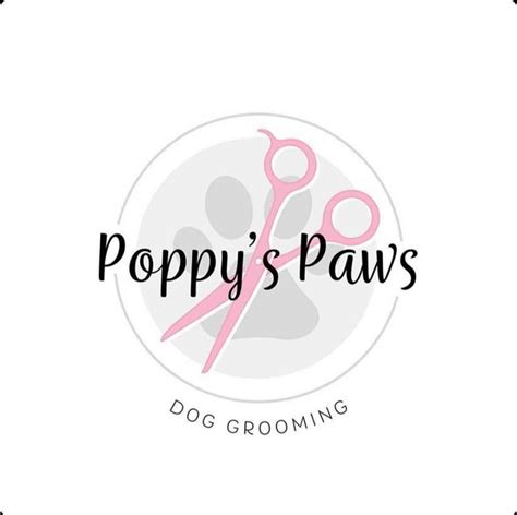 Poppy's Paws dog walking and pet sitting